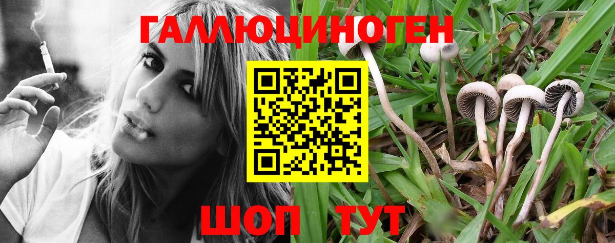 Галлюциногенные грибы Magic Shrooms  Вход с VPN  Лесозаводск 